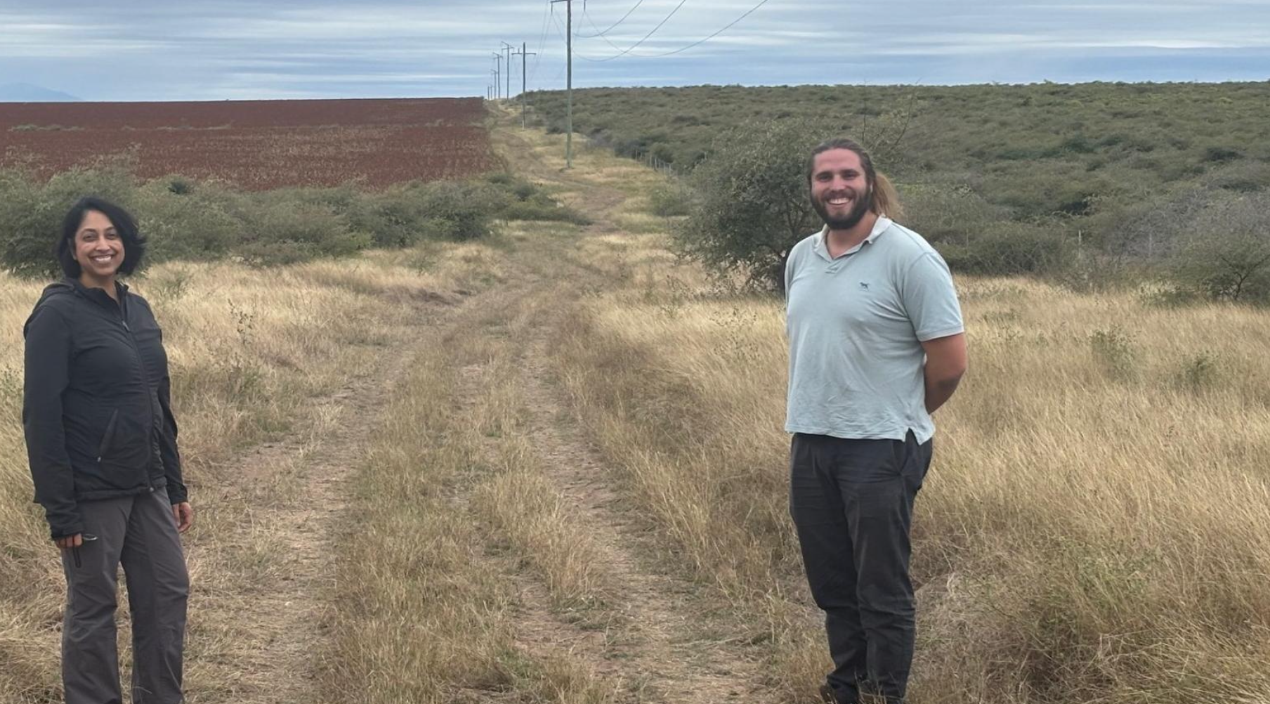 Biochar carbon removal